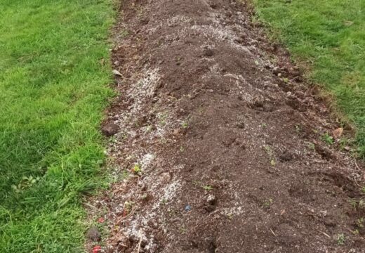 Os residuos orgánicos recollidos nos colectores marróns regresan a Carballo convertidos en compost para os xardíns